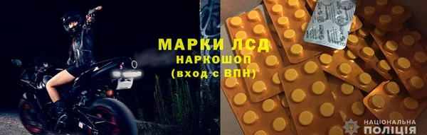 гашик Алексин