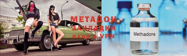 гашик Алексин