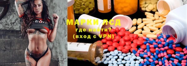 гашик Алексин