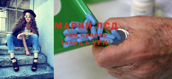 гашик Алексин