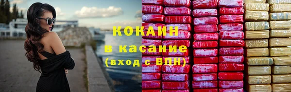 гашик Алексин