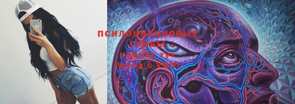 мяу мяу мука Алзамай