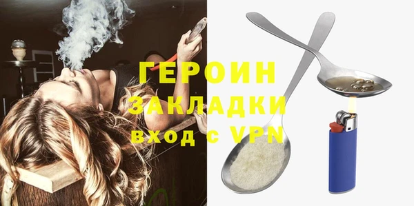 гашик Алексин