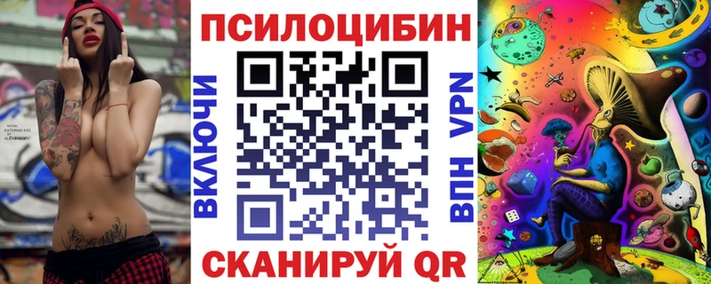 Псилоцибиновые грибы Psilocybine cubensis  купить закладку  omg вход  Казань 